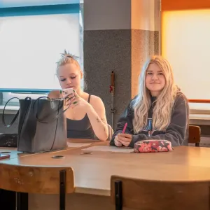 Zdjęcie w galerii